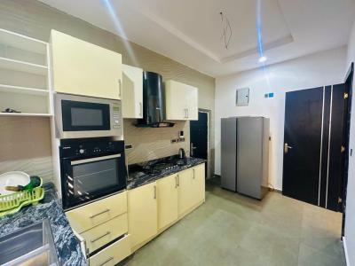 Luxury 2 Bedroom Apartment Fully Furnished, Salem Behind Elevation Church, Salem, Ikate, Lekki, Lagos, Flat / Apartment for Rent