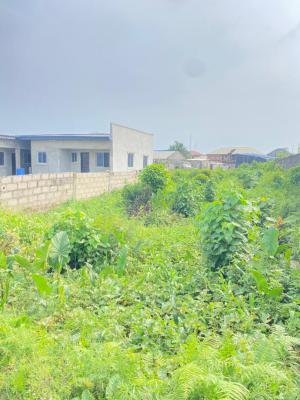 Distress Land - 500sqm Land on a Tarred Road at Peaceland Ogombo Ajah, Peaceland Estate, Ogombo, Ajah, Lagos, Residential Land for Sale
