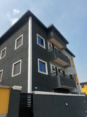 25 Years Lease Offer!! Newly Built Completed and One-apartments, Ladilak, Shomolu, Pedro, Gbagada, Lagos, Mini Flat (room and Parlour) for Sale