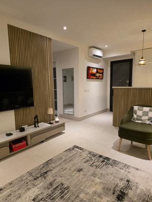 !  Fully Furnished 1bed Apartment  Available Victoria Island, Victoria Island, Victoria Island (vi), Lagos, Mini Flat (room and Parlour) for Sale