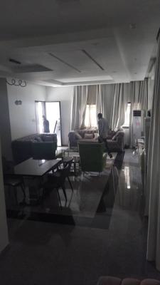 a Fully Detached 4 Bedroom Duplex with Bq in Crown Estate Sangotedo, Crown Estate, Sangotedo, Ajah, Lagos, Detached Duplex for Rent