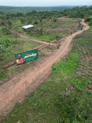 Earn Money Passively Through Farming, Abeokuta South, Ogun, Mixed-use Land for Sale