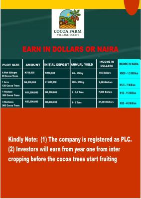 Affordable Land, Obafemi Owode, Obafemi Owode, Ogun, Industrial Land for Sale