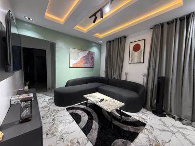 Lovely Well Furnished One Bedroom, Akoka, Yaba, Lagos, House Short Let