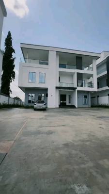 Newly Built Massive 8 Bedrooms Fully Detached Duplex, Asokoro District, Abuja, Detached Duplex for Rent