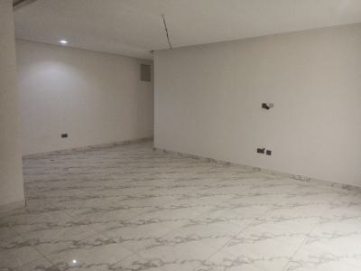 2 Bedroom Apartment, Ikate, Lekki, Lagos, Flat / Apartment for Rent