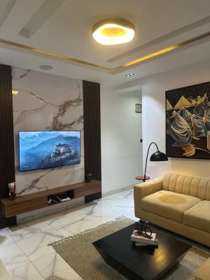 Brand New Beautifully Furnished One Bedroom Apartment, Off Awolowo Road, Ikoyi, Lagos, Mini Flat (room and Parlour) Short Let