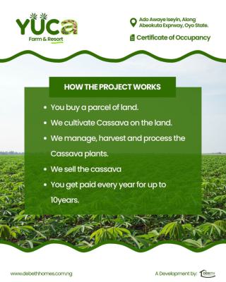 Land, Ado Awaye Iseyin, Abeokuta North, Ogun, Industrial Land for Sale