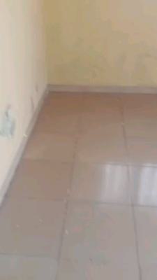2 Bedroom Apartment with Personal Check Meter Device, Off Oriola Road, Alapere, Ketu, Lagos, Flat / Apartment for Rent