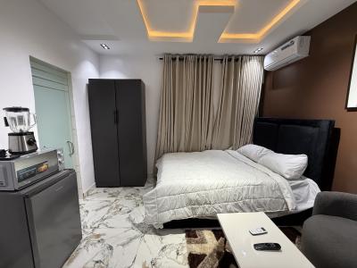 L&l The Crest Lovely Maple Studio Apartment, Aderigbigbe Street, Onike, Yaba, Lagos, Flat / Apartment Short Let