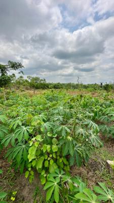 Land That Works for You: Heritage Farm City Phase 2, Abeokuta South, Ogun, Mixed-use Land for Sale