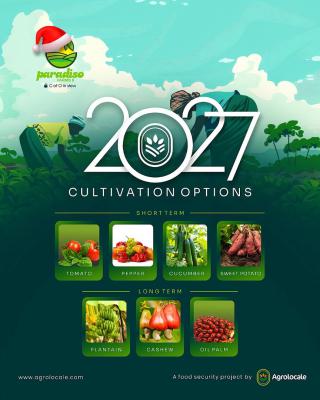 Paradiso Farm 2, Ayireke Village, Via Alabata, Odeda Local Government, Odeda, Ogun, Commercial Land for Sale