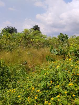 Itura Farm City, Etche, Etche, Rivers, Mixed-use Land for Sale
