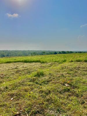 Invest in Agriculture and Earn Passive Income Yearly, Invest in Agriculture and Earn Passive Income Yearly, Abeokuta North, Ogun, Mixed-use Land for Sale