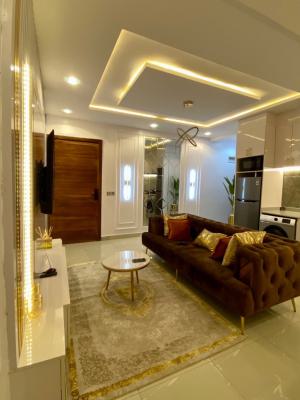 1 Bedroom Luxury Apartment in a Secured Estate, Mijl Residences & Villas, Orji Murray Street, Ikate, Lekki, Lagos, Mini Flat (room and Parlour) Short Let