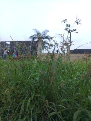 Well Situated Land, Bourdilon Road, Ikoyi, Lagos, Residential Land for Sale