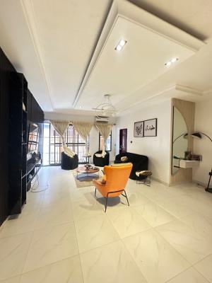 Gorgeous Fully Furnished 2 Bedroom Apartment, Ikate, Lekki, Lagos, Flat / Apartment for Rent
