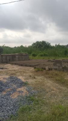 Dry Land with Gazette Deed of Assignment and Survey, Road to Oke Ira, Alasia, Ajah, Lagos, Land for Sale