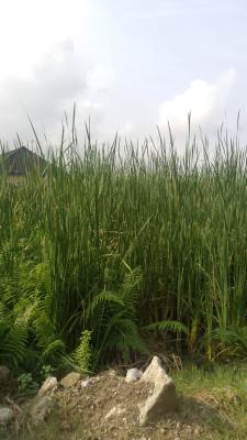 2 Plots Together with Gazette Deed of Assignment and Survey C of O, Road to Oke Ira, Alasia, Ajah, Lagos, Residential Land for Sale