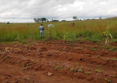 C of O Titled Fertile and Lush 1.5 Plots of Land, Shen, Jos South, Plateau, Mixed-use Land for Sale