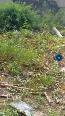 a Plot of Land in Secured Environment, Startimes Estate Ago Okota Lagos Nigeria, Okota, Isolo, Lagos, Residential Land for Sale