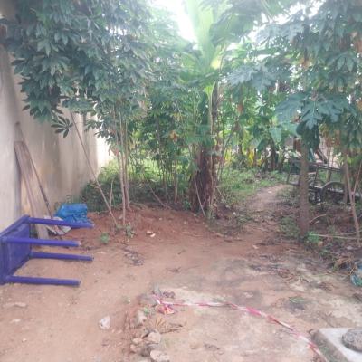 2plots of Land at Magboro Close to Wise Buyer 120m Slightly Neg., Close to Wise Buyer, Magboro, Ogun, Mixed-use Land for Sale