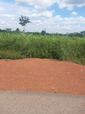 Land Banking, Agbogazi Nike Community, Enugu, Enugu, Mixed-use Land for Sale