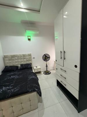 Furnished Share Apartment at Orchid Road Lekki, Orchid Hotel Road Lekki Phase 2, Lekki, Lagos, Self Contain (single Rooms) for Rent