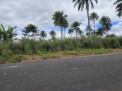 Plots and Acres of Land, Obafemi Owode, Ogun, Land for Sale