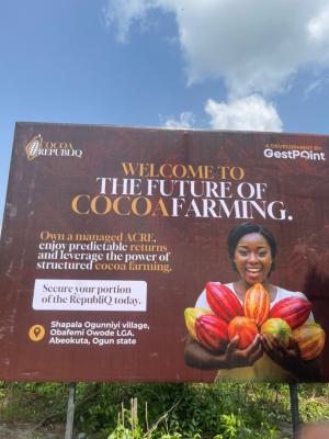 Get The Most Affordable and Verified Agricultural Property, Obafemi Owode, Ogun, Commercial Land for Sale