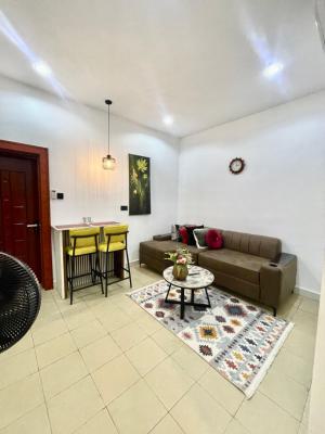 Luxury 1bedroom, Jahi, Abuja, Flat / Apartment Short Let