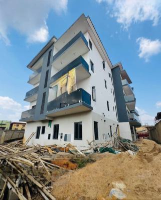 Spaciously Built 3 Bedroom Apartment in Serene Environment, Ogba, Ikeja, Lagos, Flat / Apartment for Sale