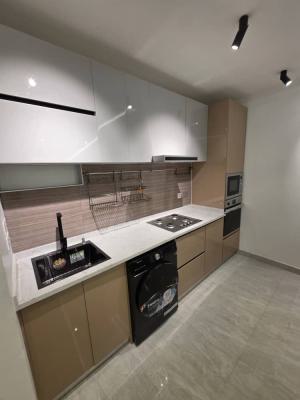 Newly Built and Luxurious 2 Bedroom Apartment, Mobile Road, Ilaje, Ajah, Lagos, Flat / Apartment for Rent