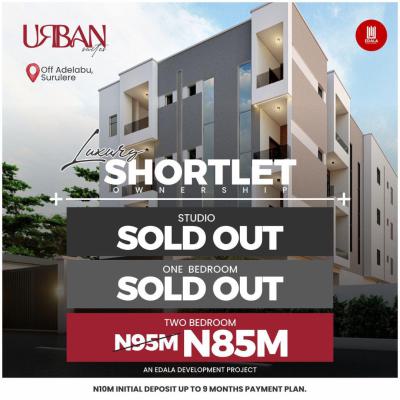 Massively Built 1 Bedroom Apartment Very Good to Take in Cash Flow., Surulere, Lagos, Mini Flat (room and Parlour) for Sale