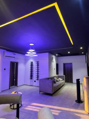 Fully Furnished 2 Bedroom Apartment in a Serene Neighborhood, Adelabu, Surulere, Lagos, Flat / Apartment Short Let