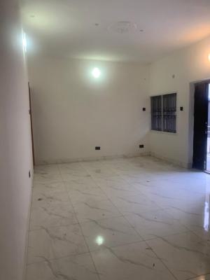 Newly Built Standard Two Bedroom Apartment, Ikate, Lekki, Lagos, Flat / Apartment for Rent