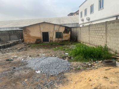 Premium  Land for Lease in Ogudu, Ogudu, Lagos, Mixed-use Land for Rent