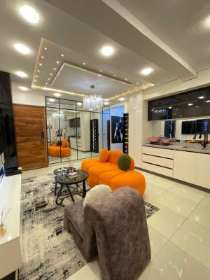 Luxuriously Furnished 1 Bedroom Apartment, Ikate, Lekki Phase 1, Lekki, Lagos, Flat / Apartment Short Let