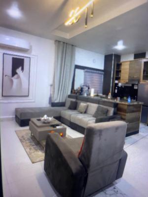 Spaciously Furnished 1 Bedroom with Gym, and Elevator, Katampe Extension, Katampe, Abuja, Mini Flat (room and Parlour) for Rent