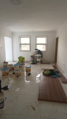 Choice Mini Flat, Off Ogunlana Drive / Akerele Street, Surulere, Lagos, Mini Flat (room and Parlour) for Rent