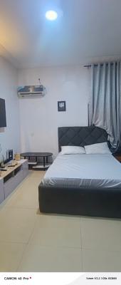 Monthly Pay Furnished Apartment in Osapa, By Circle Mall, Jakande Lekki, Lekki Phase 1, Lekki, Lagos, Self Contain (single Rooms) for Rent