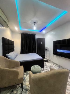 Fully Furnished and Serviced Studio Apartment, Jibowu, Yaba, Lagos, Self Contain (single Rooms) for Rent