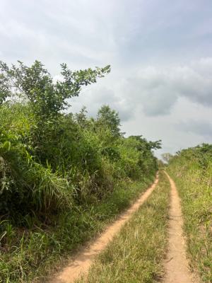 100 Acres of Farm Land with C of O, Osu Village, Odeda, Ogun, Commercial Land for Sale