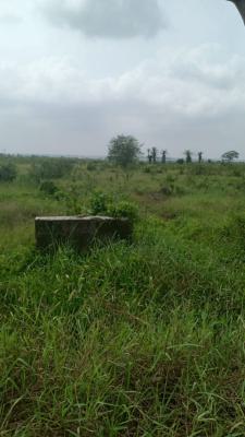 Acres of Cheap Developing Land, Mapara, Makogi, Magboro, Ogun, Residential Land for Sale