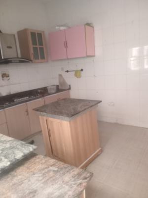 a Luxurious Standard Miniflat Apartment with Standard Shared Kitchen, Chevron Drive Chevy View Estate, Lekki, Lagos, Mini Flat (room and Parlour) for Rent