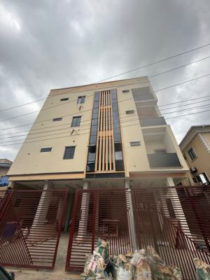Lovely and Exclusive 2 Bedroom Apartment, Alagomeji, Yaba, Lagos, Flat / Apartment for Rent