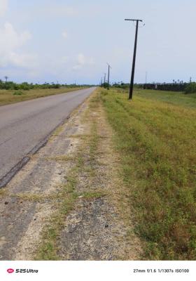 Plots of Land, Lekki Free Trade Zone, Lekki, Lagos, Commercial Land for Sale