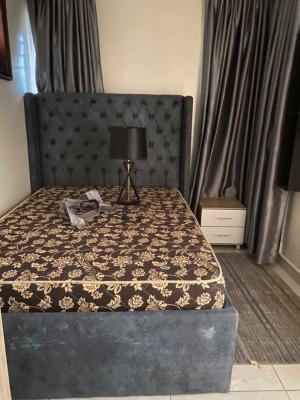 2 Units of Very Neat 2 Bedroom Apartments Available, Conservation Road, Lekki Expressway, Lekki, Lagos, Flat / Apartment for Rent