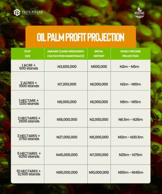 The Secret to Passive Income? Its Right Here., Abeokuta South, Ogun, Residential Land for Sale