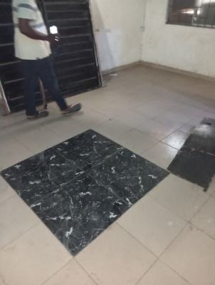 Spacious Mini Flat, Off Lawanson Surulere Lagos, Lawanson, Surulere, Lagos, Mini Flat (room and Parlour) for Rent